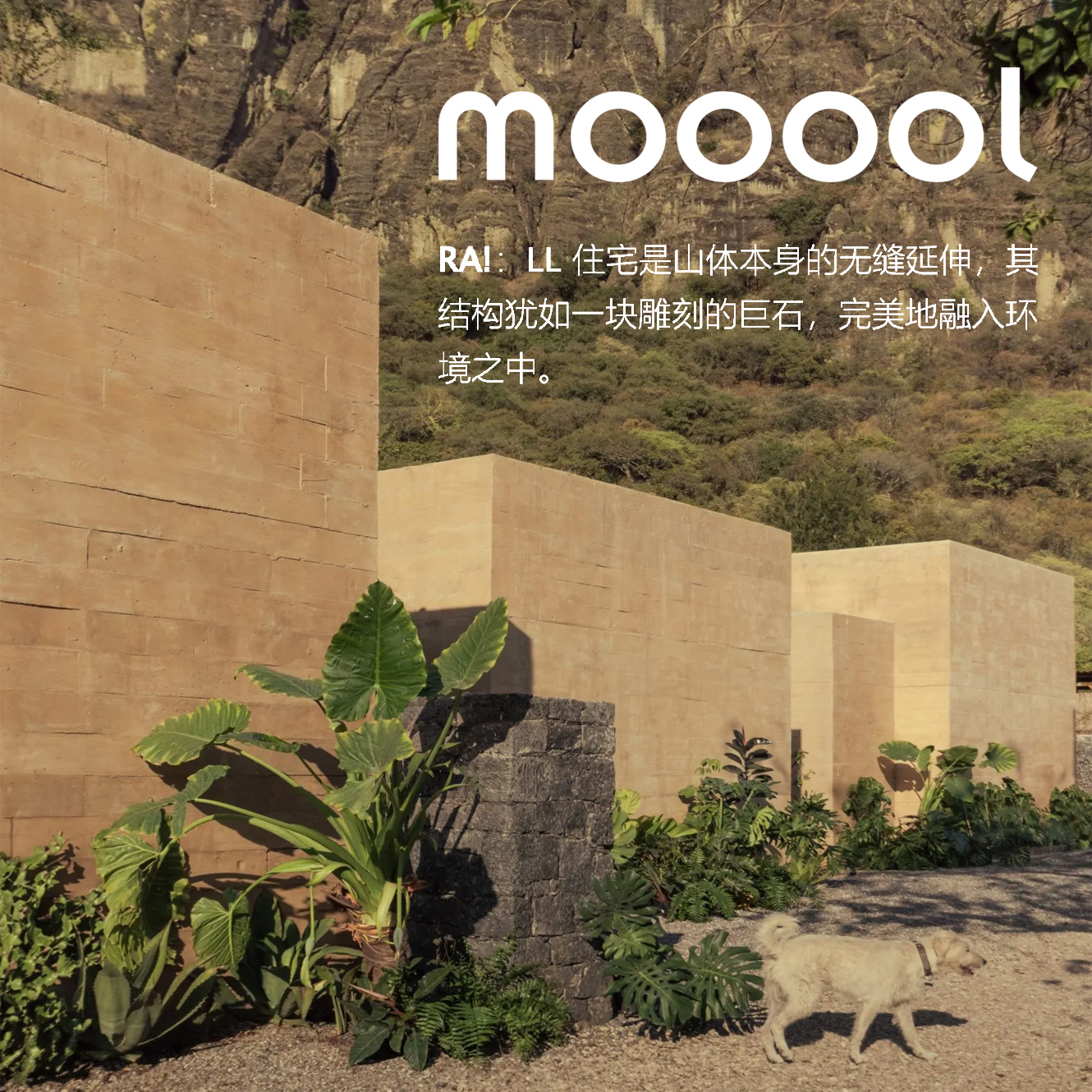 LL House stands as a seamless extension of the mountain itself, its structures appearing like sculpted monoliths.